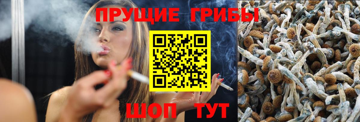 Псилоцибиновые грибы GOLDEN TEACHER  Вход с VPN  Абакан 